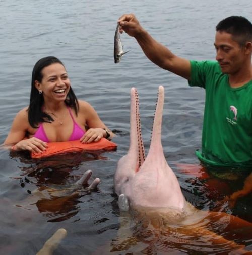 Travel agent Brazil