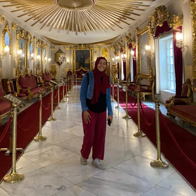 Egypt travel advisor